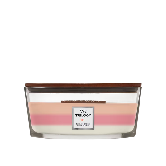 WOODWICK - ELLIPSE TRILOGY BLOOMING ORCHARD