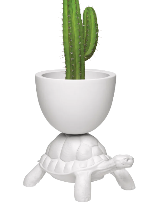 QEEBOO - Turtle Carry Planter/champagne cooler WH
